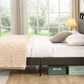 Vertical Panel Cubby Headboard Storage Bed